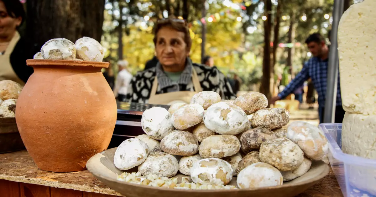 Tbilisi Cheese Festival Travel