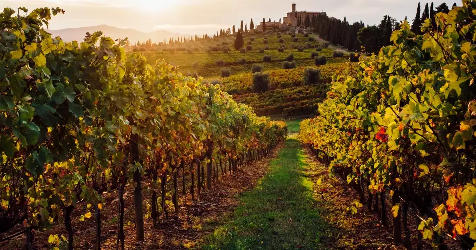 12 Underrated Wine Regions to Visit This Fall, According to the Experts