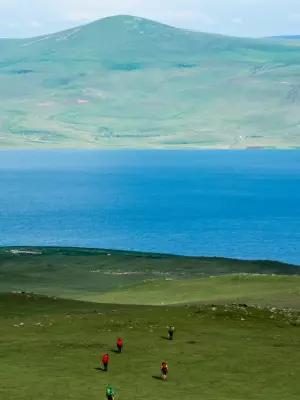 Biz mushukchaga suv quyamiz