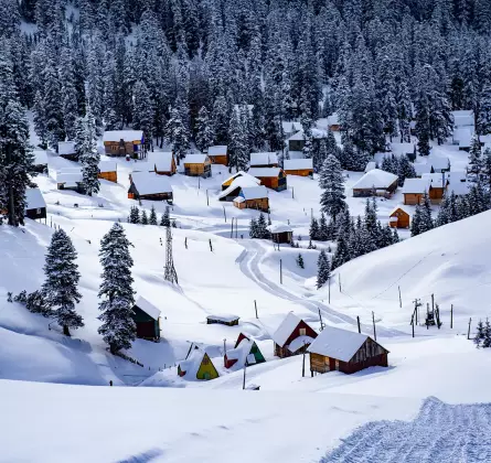 Skiing in Bakhmaro: A Unique Experience