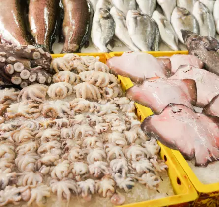 Fresh Litob og Batuli (Sea Cucumber) Seafoods