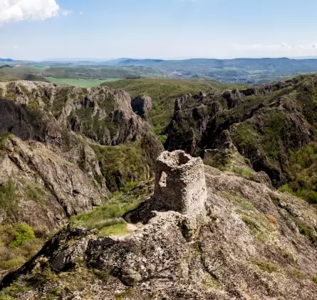 ბირთვისი