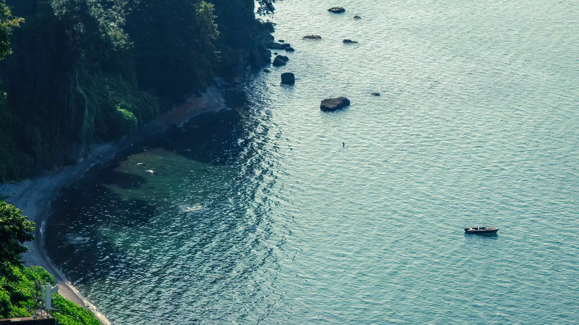 Batumi Botanical Garden Georgia Travel