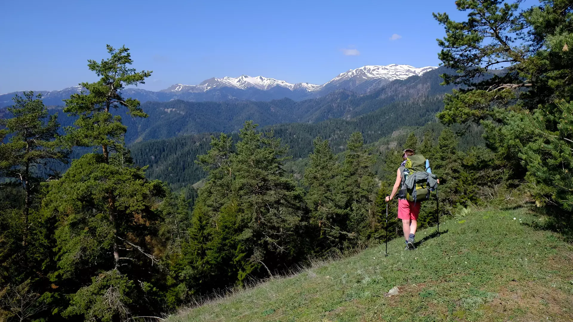 Borjom-Kharagauli National Park Hiking