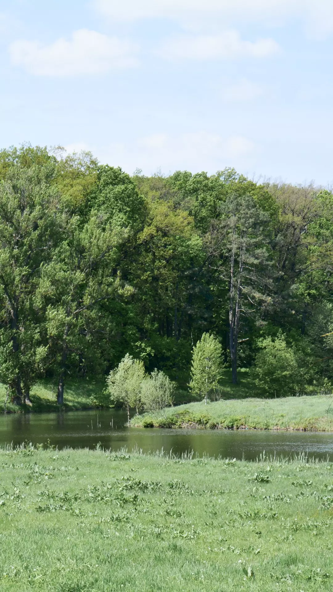 Gora-Berezhouli Dendrological Park | Georgia Travel
