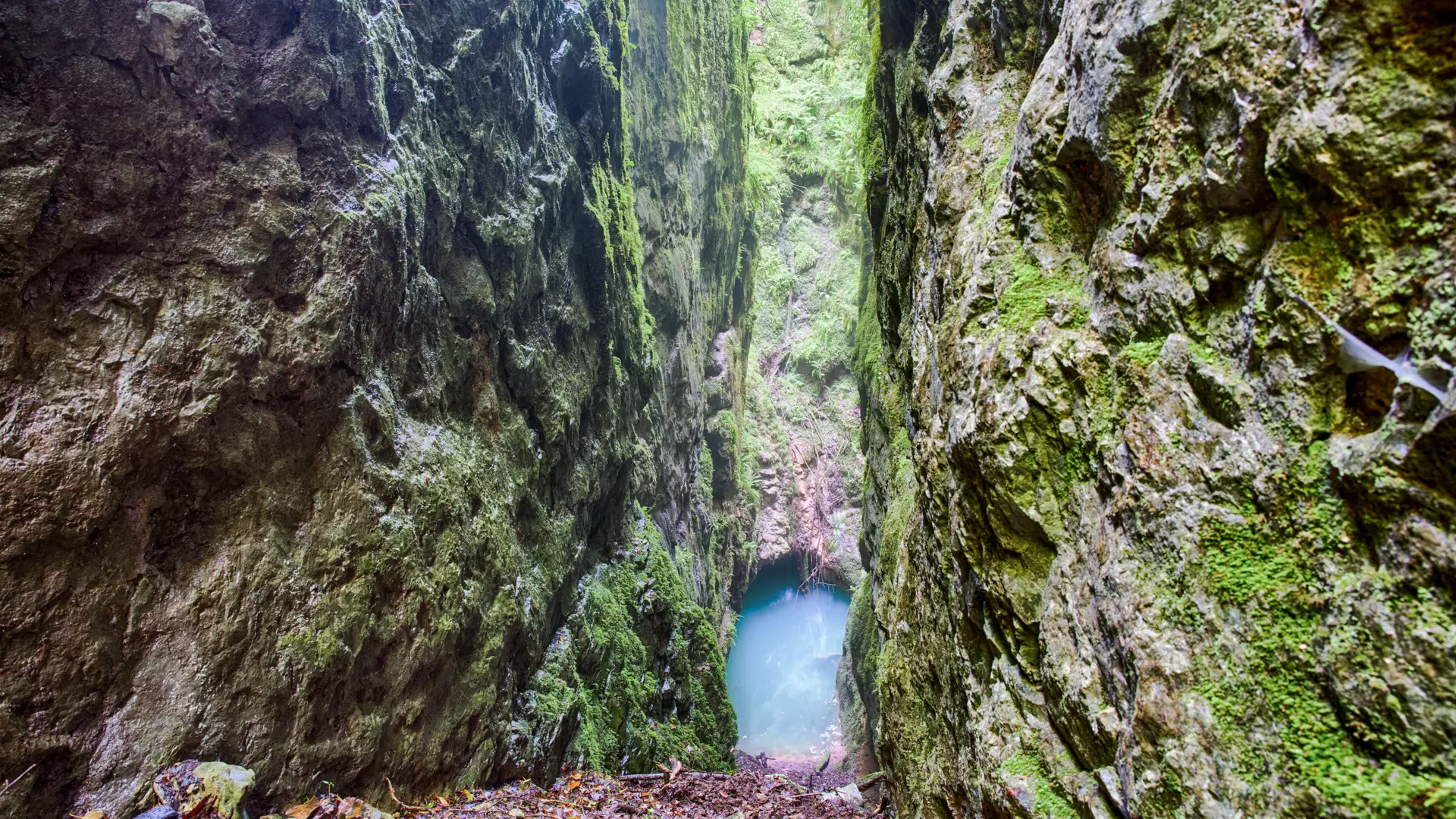 Gabzaruli Lake – Nature’s Emerald Monument in Imereti
