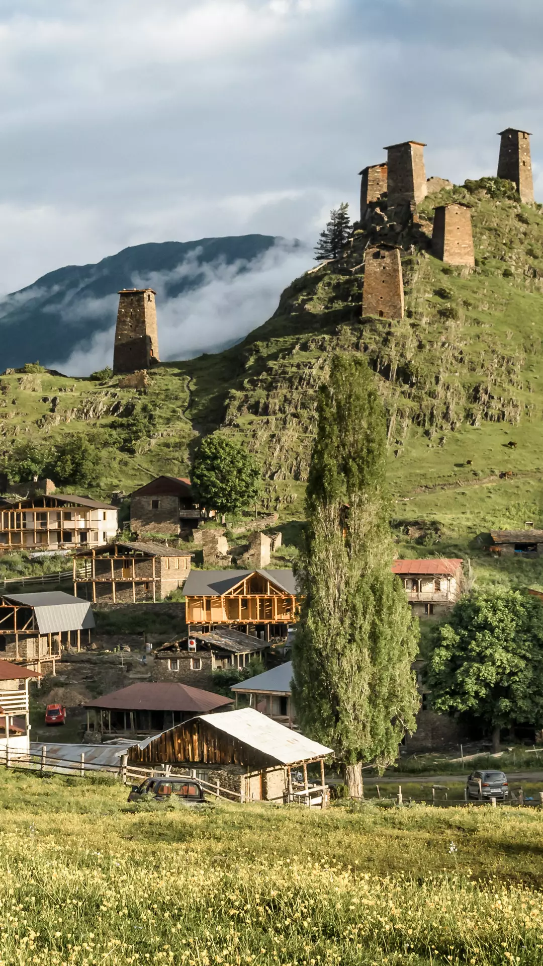 Huni orqali mushukni toldirdi