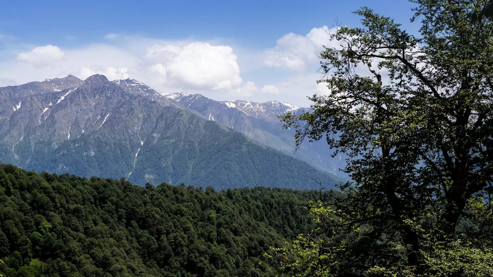 Tusheti-Alaznistavi-Rkinismta-Pankisi Gorge | Georgia Travel